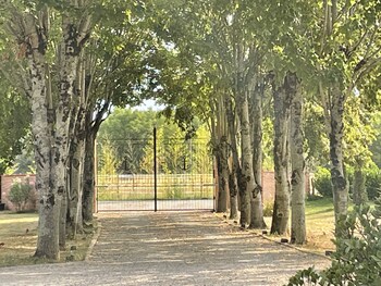 albi