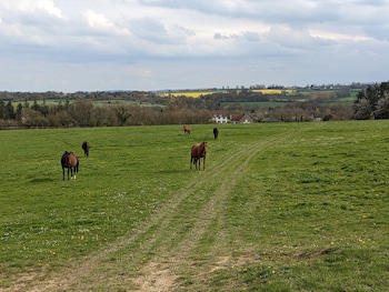 le haras dhavetot