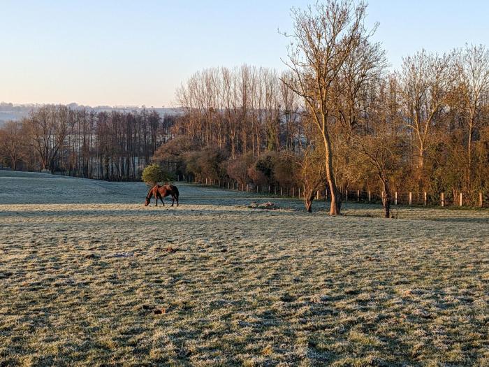 le haras dhavetot