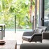 casuarina