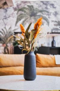 volubilis guest house