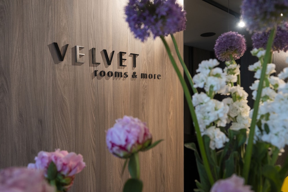 velvet rooms and more