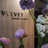 velvet rooms and more