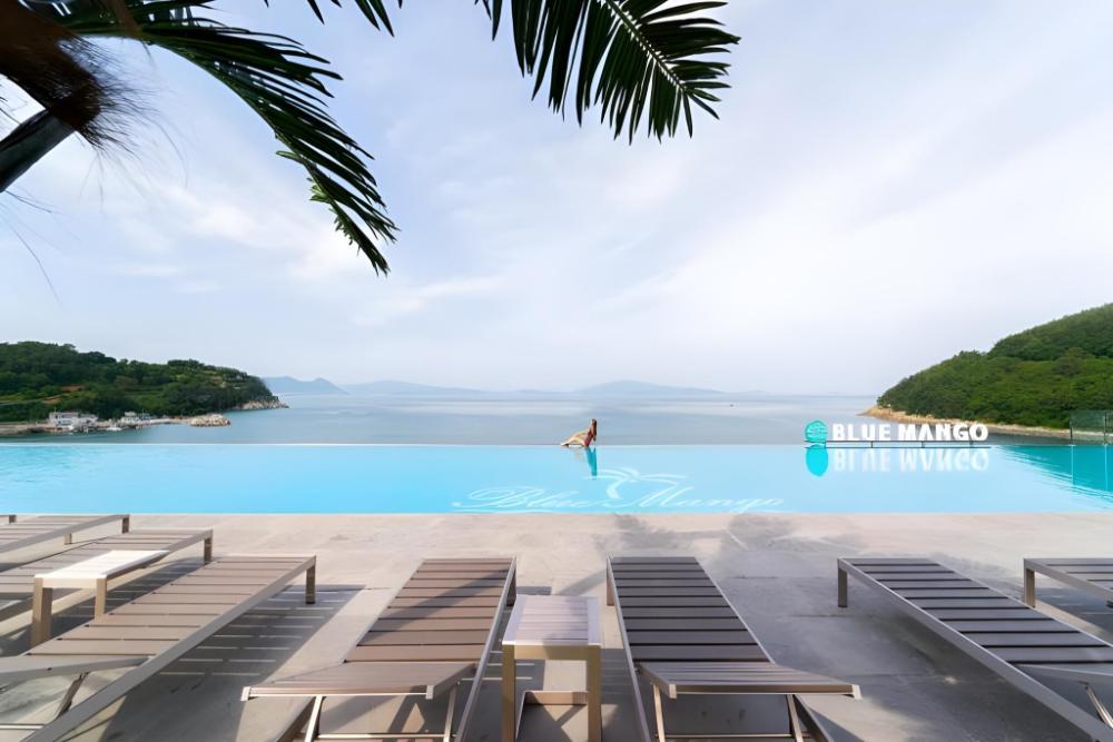 blue mango pool villa and resort