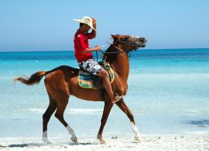 djerba golf resort and spa