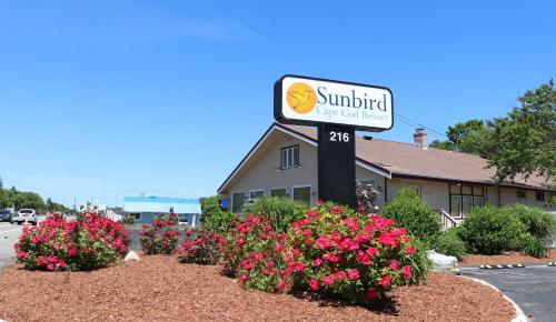 sunbird cape cod resort