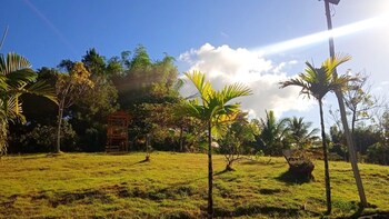 sabana grande de boya