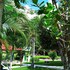 sabana grande de boya