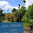 sabana grande de boya