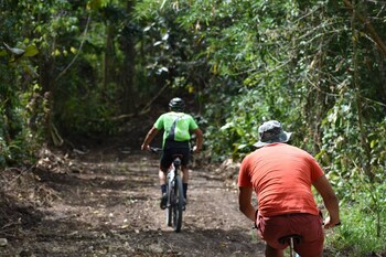 sabana grande de boya