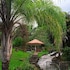 sabana grande de boya