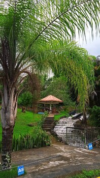 sabana grande de boya