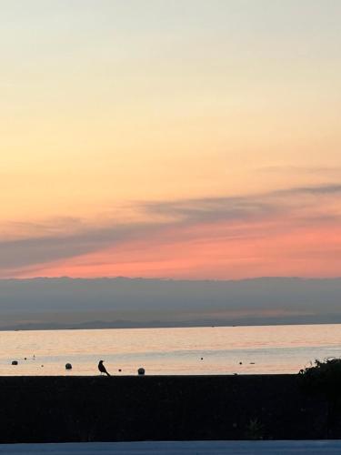 eight point resort awajishima glamping