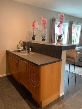 notodden sentrum apartment no 8