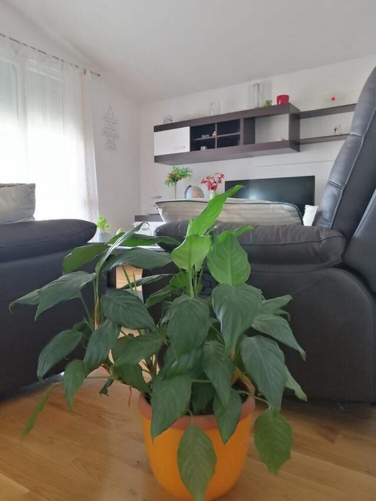 apartment spalato
