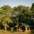 maasai mara