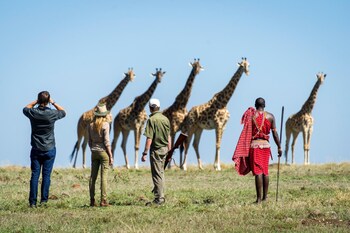 maasai mara