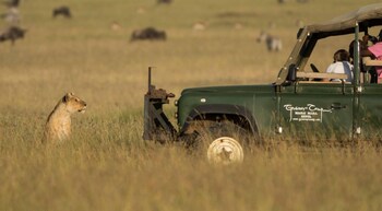 maasai mara