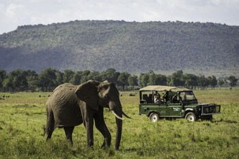 maasai mara