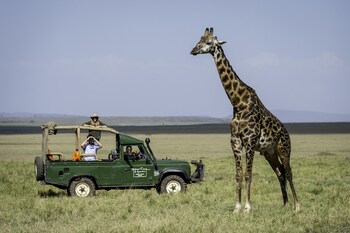 maasai mara
