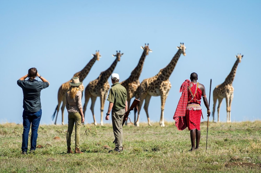 maasai mara