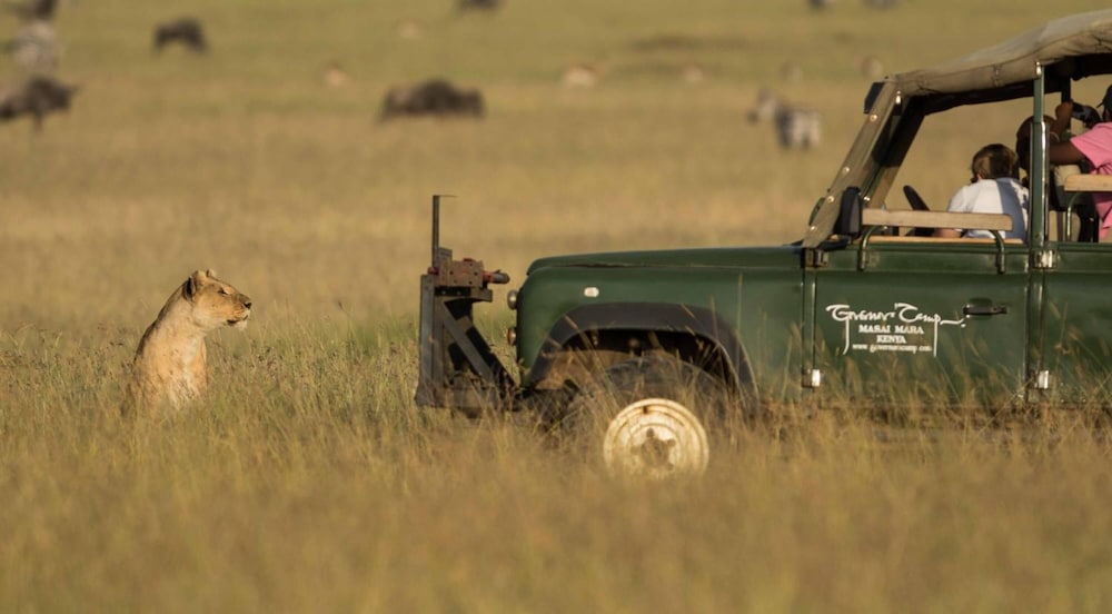 maasai mara