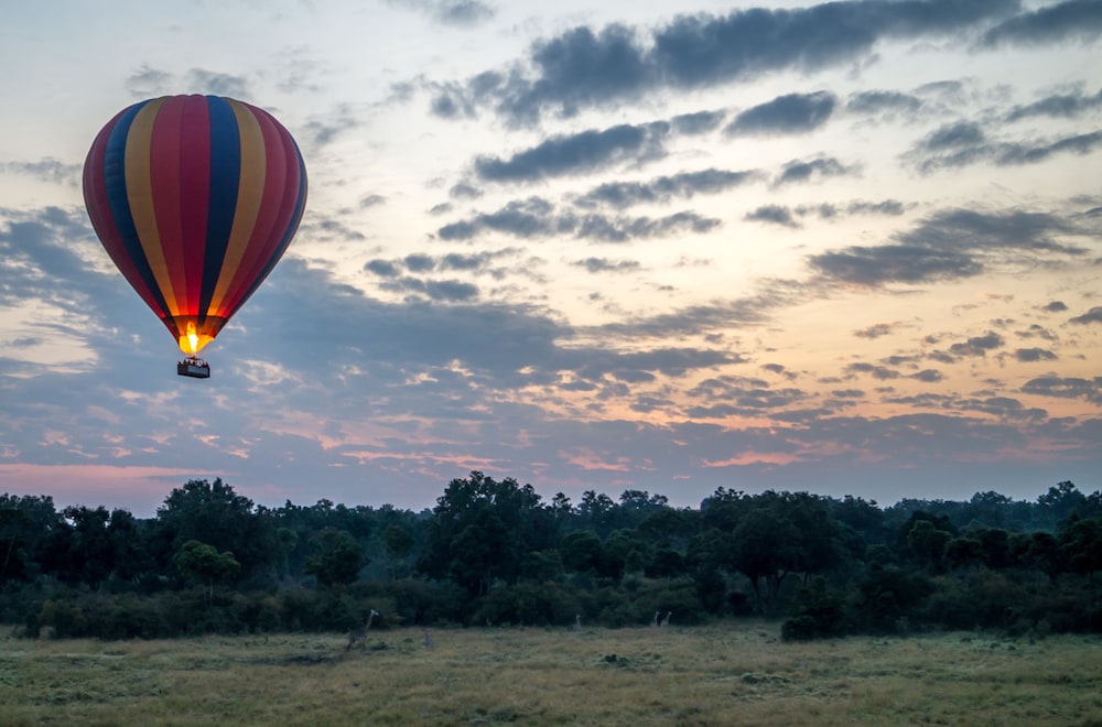 maasai mara