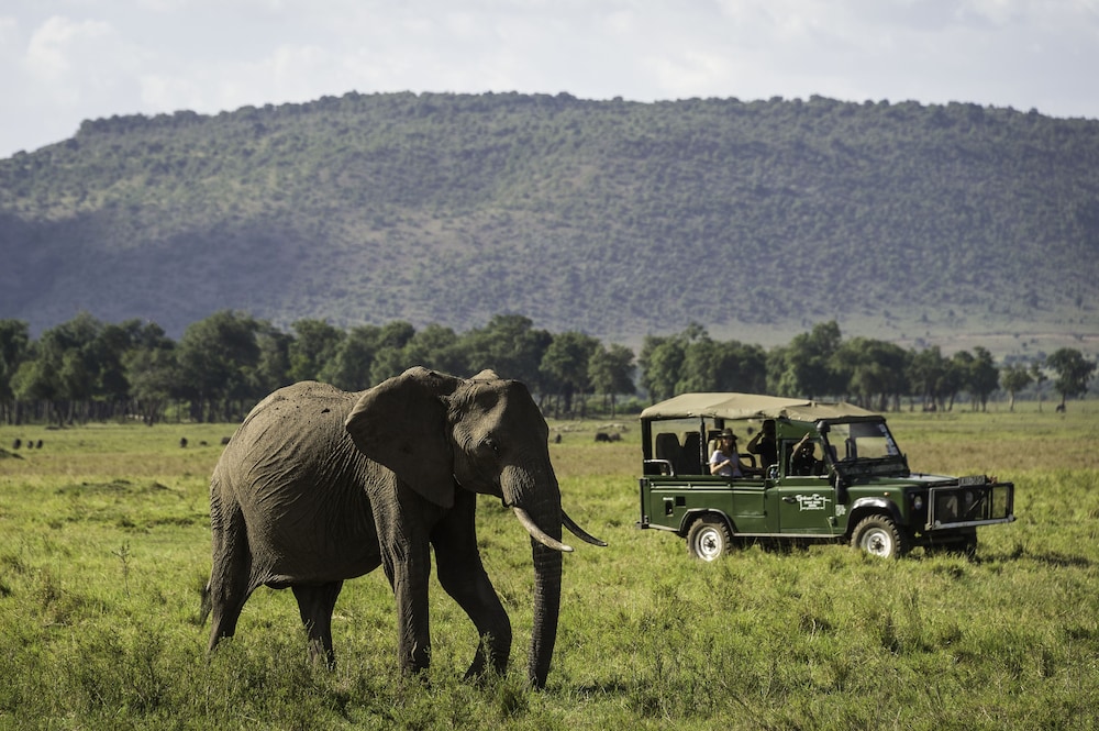 maasai mara