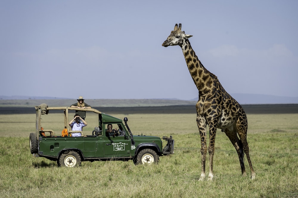 maasai mara