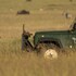 maasai mara