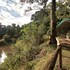maasai mara
