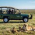 maasai mara