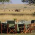 maasai mara