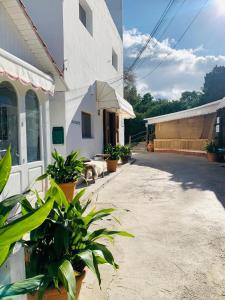 hostal mar y sal