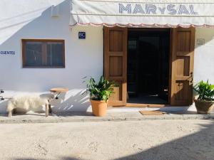 hostal mar y sal