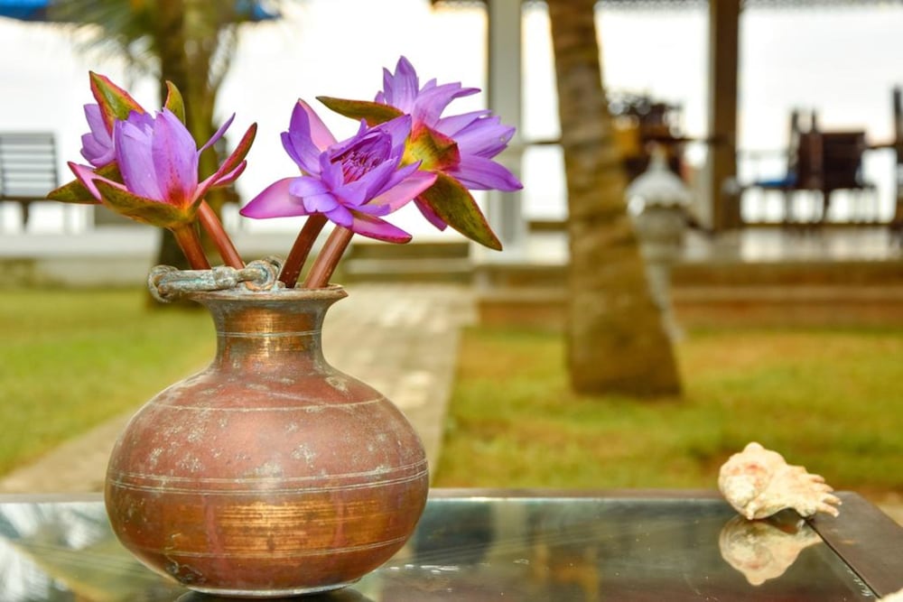 oriental rest hikkaduwa