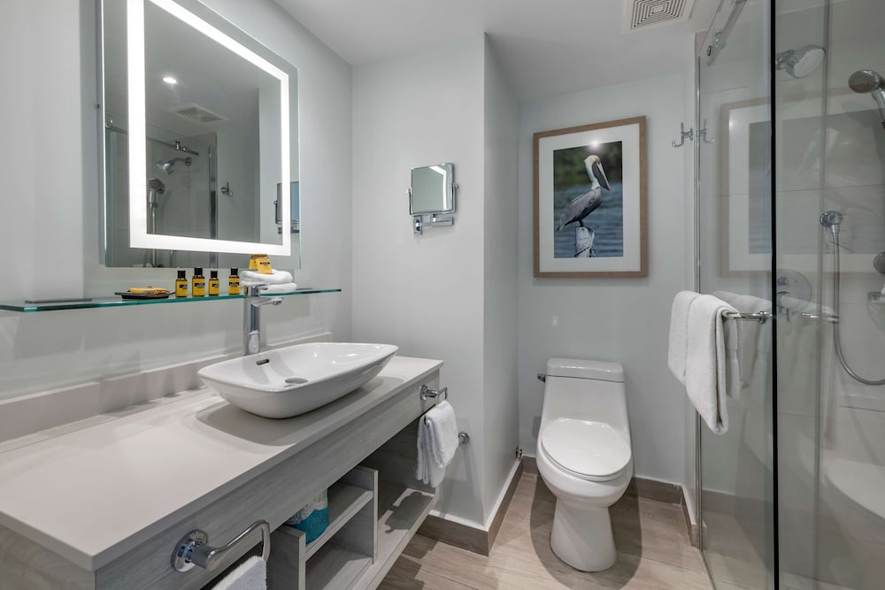 condado palm inn san juan tapestry collection by hilton
