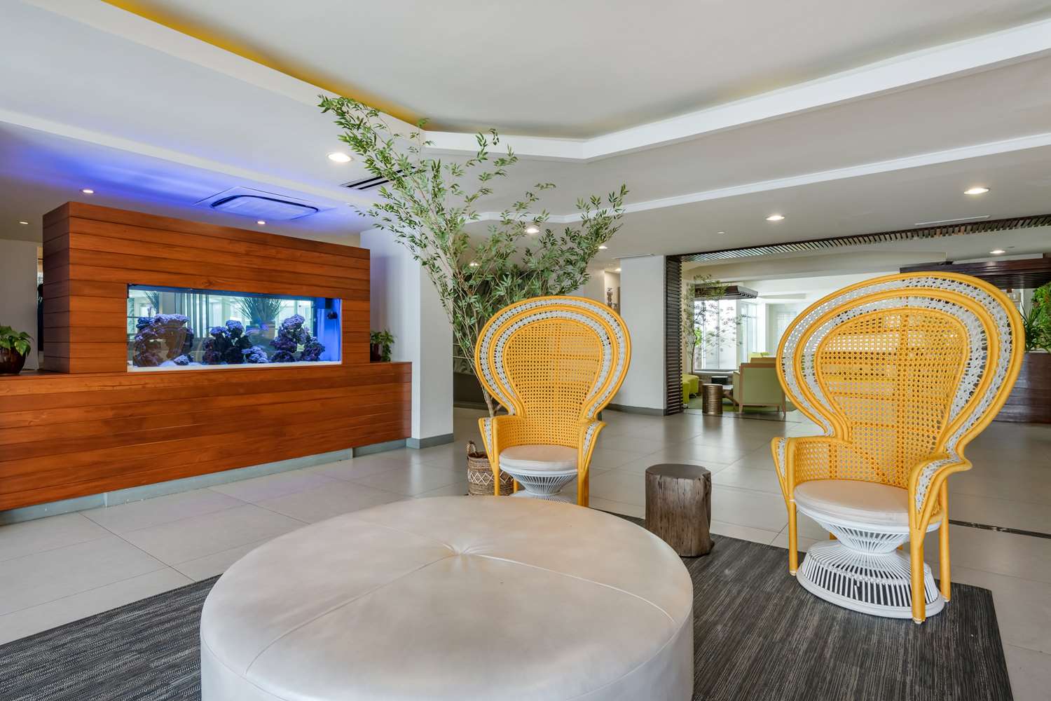 condado palm inn san juan tapestry collection by hilton