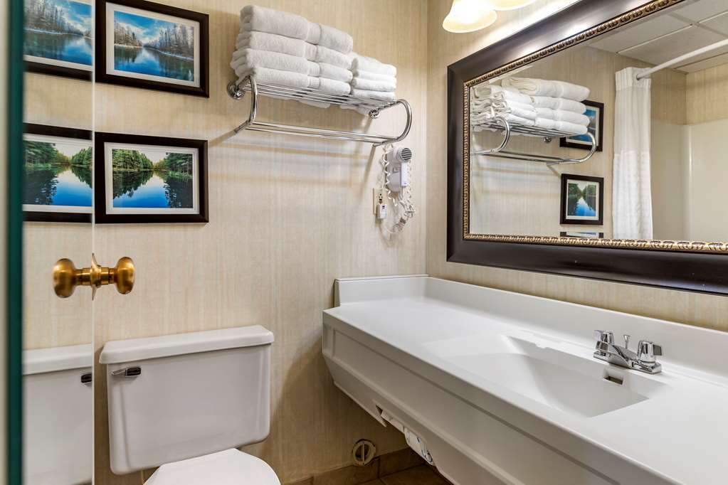 comfort inn manistique