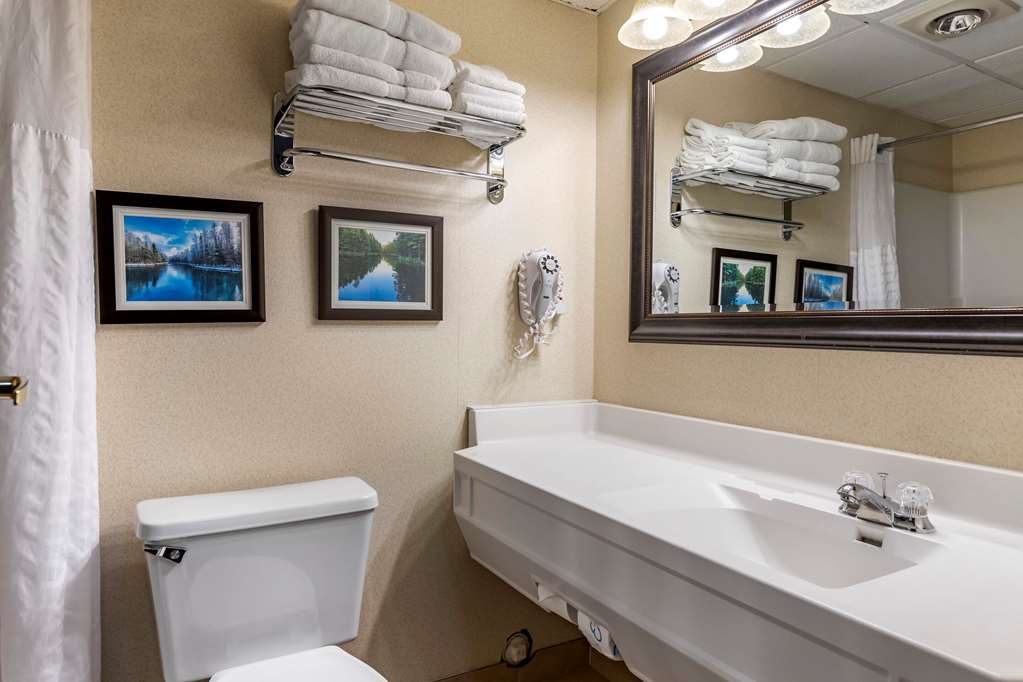 comfort inn manistique