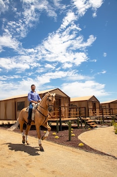 indomito resort and hotel boutique