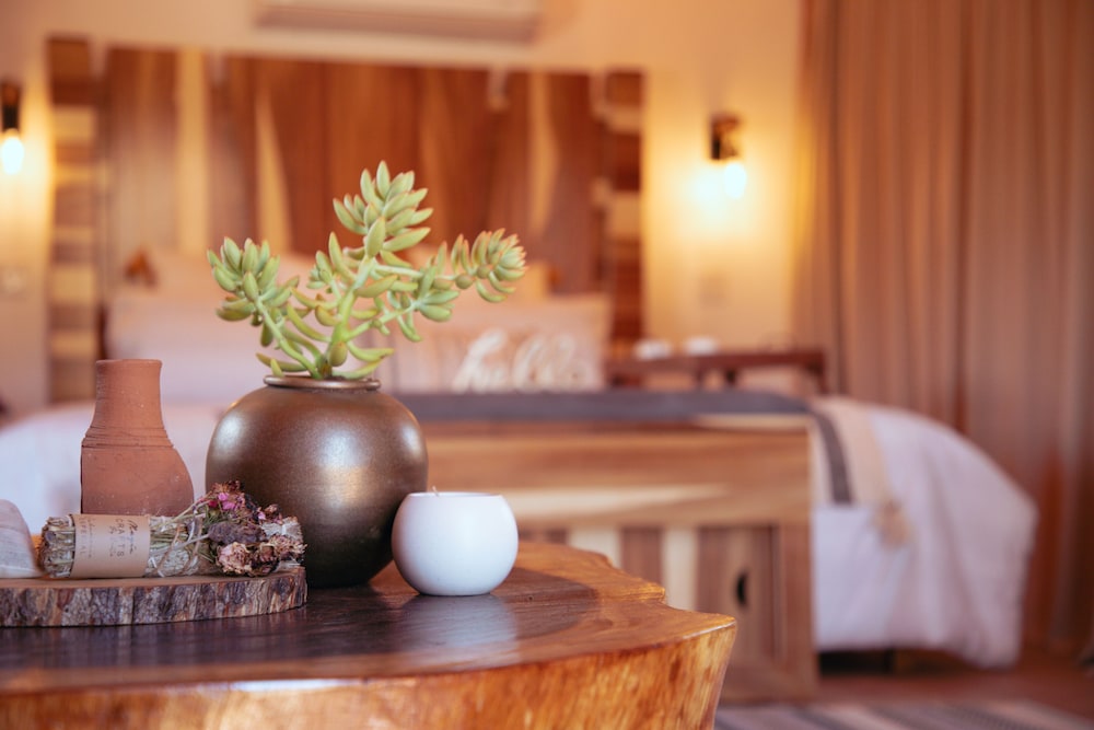 indomito resort and hotel boutique