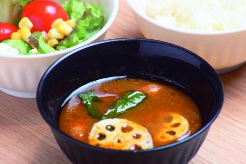 sotetsu fresa inn sapporo susukino