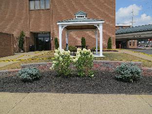 best western plus wooster hotel and conference center