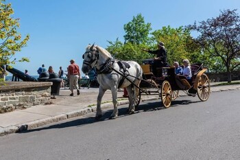 spectacular 3 bdrm old quebec penthouse