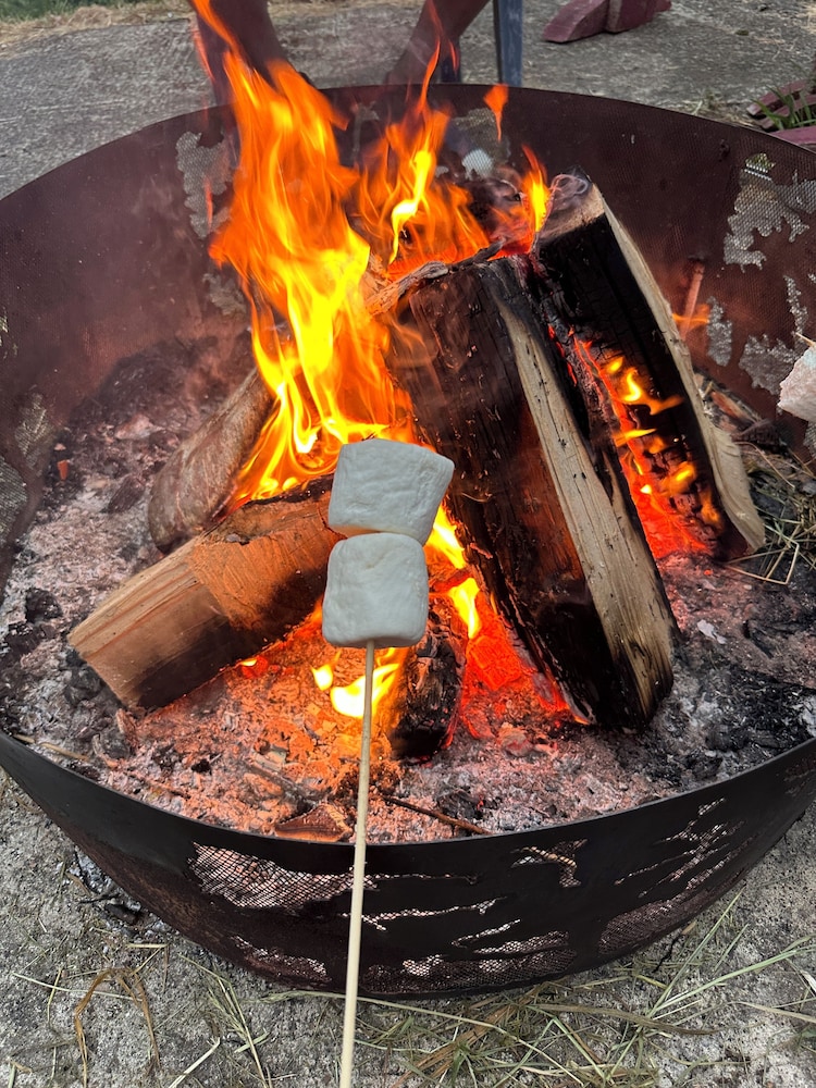 raines resort cabins and rv