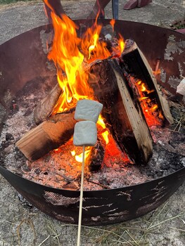 raines resort cabins and rv