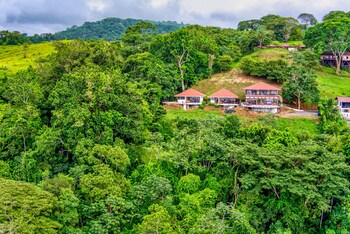 akua ocean view suites