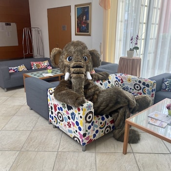 hunguest hotel aqua sol