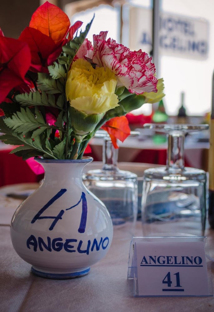 hotel angelino